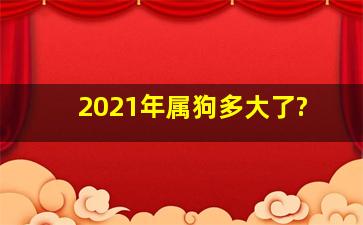 2021年属狗多大了?