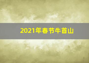 2021年春节牛首山