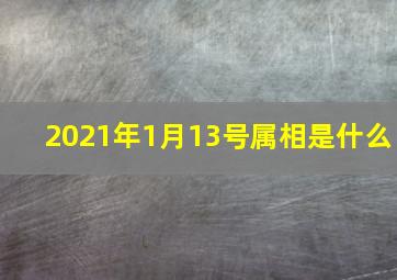 2021年1月13号属相是什么