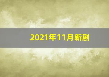 2021年11月新剧