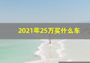 2021年25万买什么车