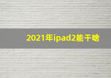 2021年ipad2能干啥