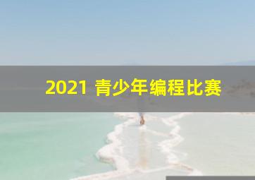 2021 青少年编程比赛