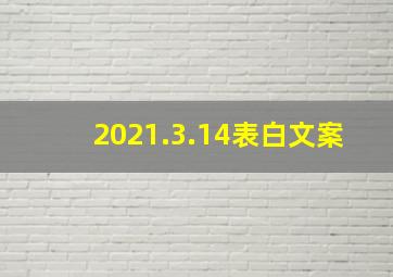 2021.3.14表白文案