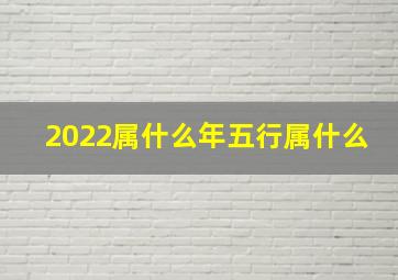 2022属什么年五行属什么