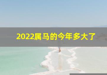 2022属马的今年多大了