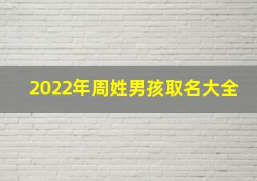 2022年周姓男孩取名大全