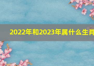 2022年和2023年属什么生肖