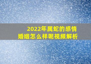 2022年属蛇的感情婚姻怎么样呢视频解析