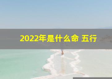 2022年是什么命 五行