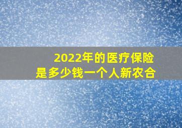 2022年的医疗保险是多少钱一个人新农合