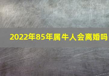 2022年85年属牛人会离婚吗