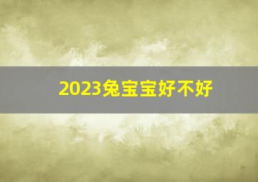 2023兔宝宝好不好