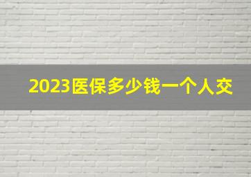 2023医保多少钱一个人交