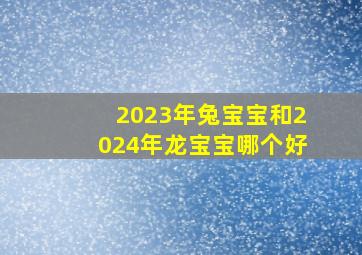 2023年兔宝宝和2024年龙宝宝哪个好