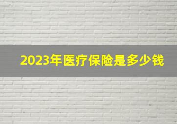 2023年医疗保险是多少钱