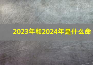 2023年和2024年是什么命