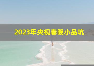 2023年央视春晚小品坑