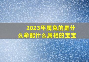 2023年属兔的是什么命配什么属相的宝宝