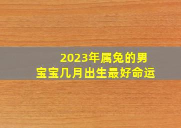 2023年属兔的男宝宝几月出生最好命运