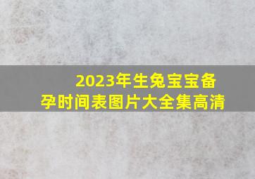 2023年生兔宝宝备孕时间表图片大全集高清