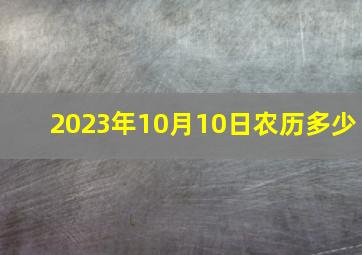 2023年10月10日农历多少