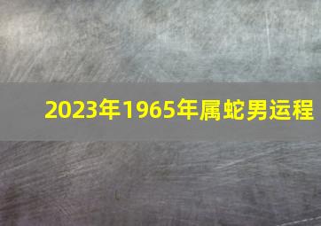 2023年1965年属蛇男运程