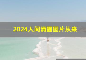 2024人间清醒图片从来