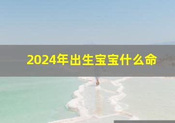 2024年出生宝宝什么命