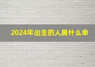 2024年出生的人属什么命