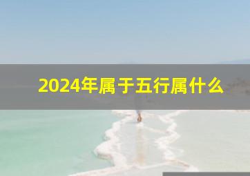 2024年属于五行属什么