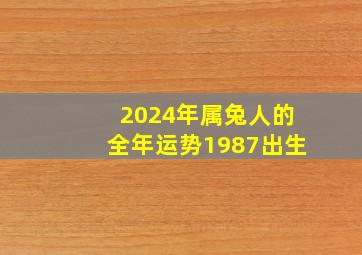 2024年属兔人的全年运势1987出生