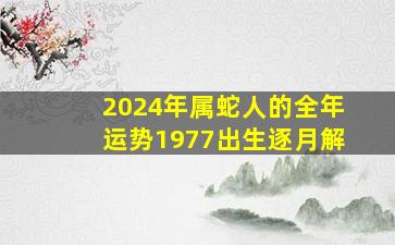 2024年属蛇人的全年运势1977出生逐月解