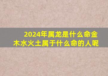 2024年属龙是什么命金木水火土属于什么命的人呢