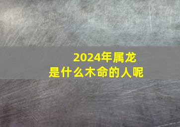 2024年属龙是什么木命的人呢