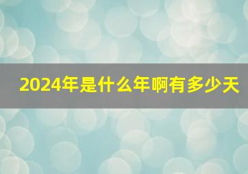 2024年是什么年啊有多少天