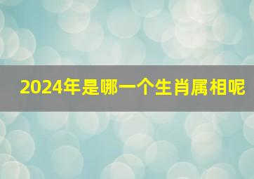 2024年是哪一个生肖属相呢