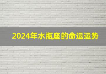 2024年水瓶座的命运运势