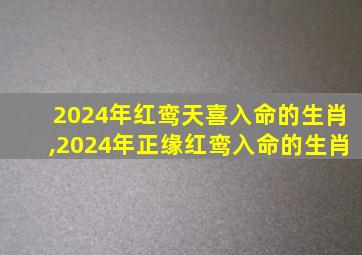 2024年红鸾天喜入命的生肖,2024年正缘红鸾入命的生肖