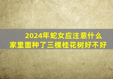 2024年蛇女应注意什么家里面种了三棵桂花树好不好