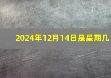 2024年12月14日是星期几