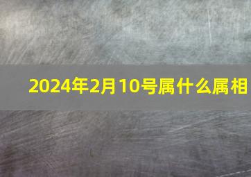 2024年2月10号属什么属相