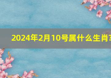 2024年2月10号属什么生肖?