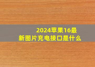 2024苹果16最新图片充电接口是什么