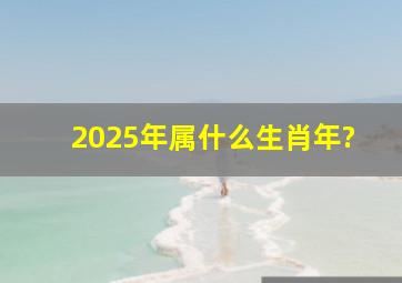 2025年属什么生肖年?