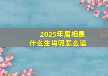 2025年属相是什么生肖呢怎么读