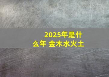 2025年是什么年 金木水火土