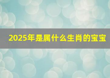 2025年是属什么生肖的宝宝