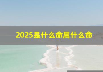 2025是什么命属什么命