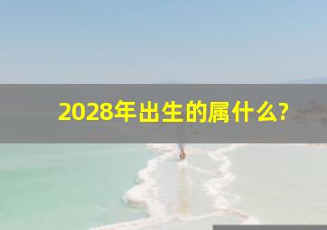 2028年出生的属什么?